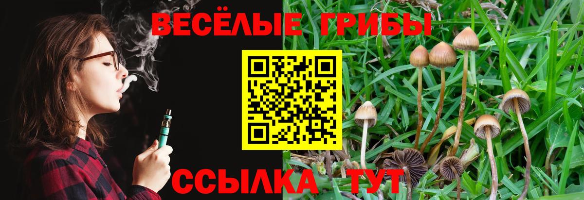 Галлюциногенные грибы Psilocybine cubensis  Вход с VPN  Тосно 