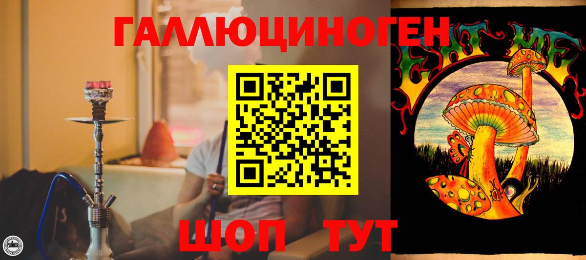Псилоцибиновые грибы Cubensis Тосно